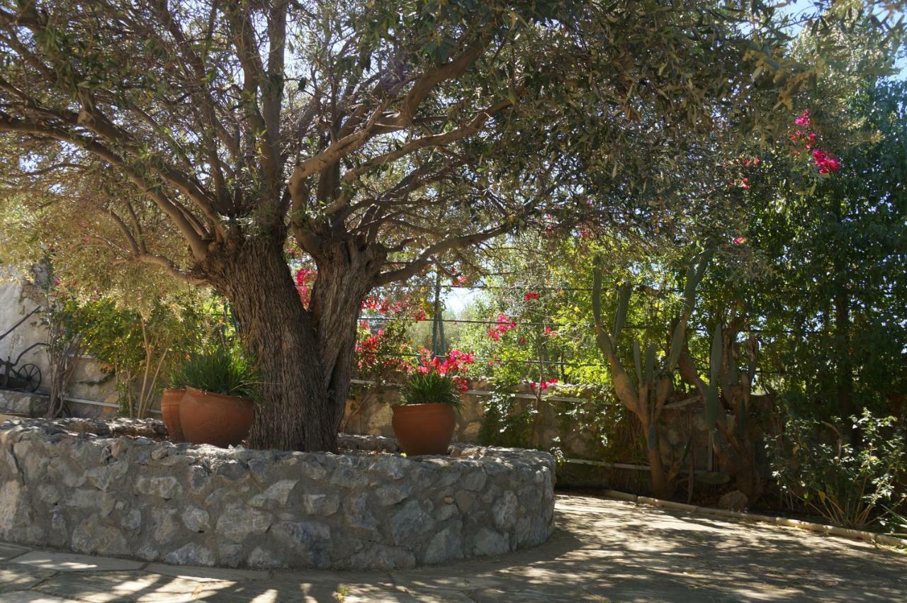 Villa Layla Girne Dış mekan fotoğraf